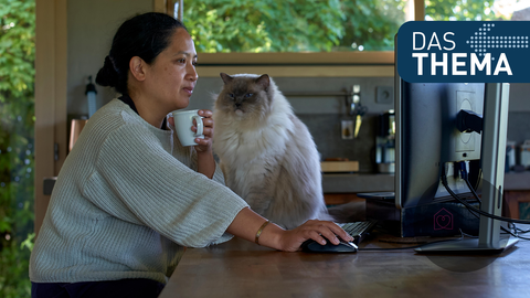 Frau sitzt in ihrer Küche vorm Computer, auf dem Tisch sitzt auch eine Katze. 