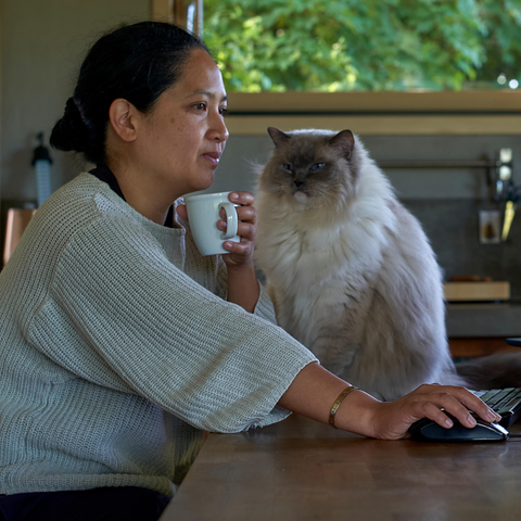 Frau sitzt in ihrer Küche vorm Computer, auf dem Tisch sitzt auch eine Katze. 
