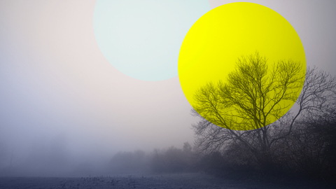 Ein Baum im Nebel